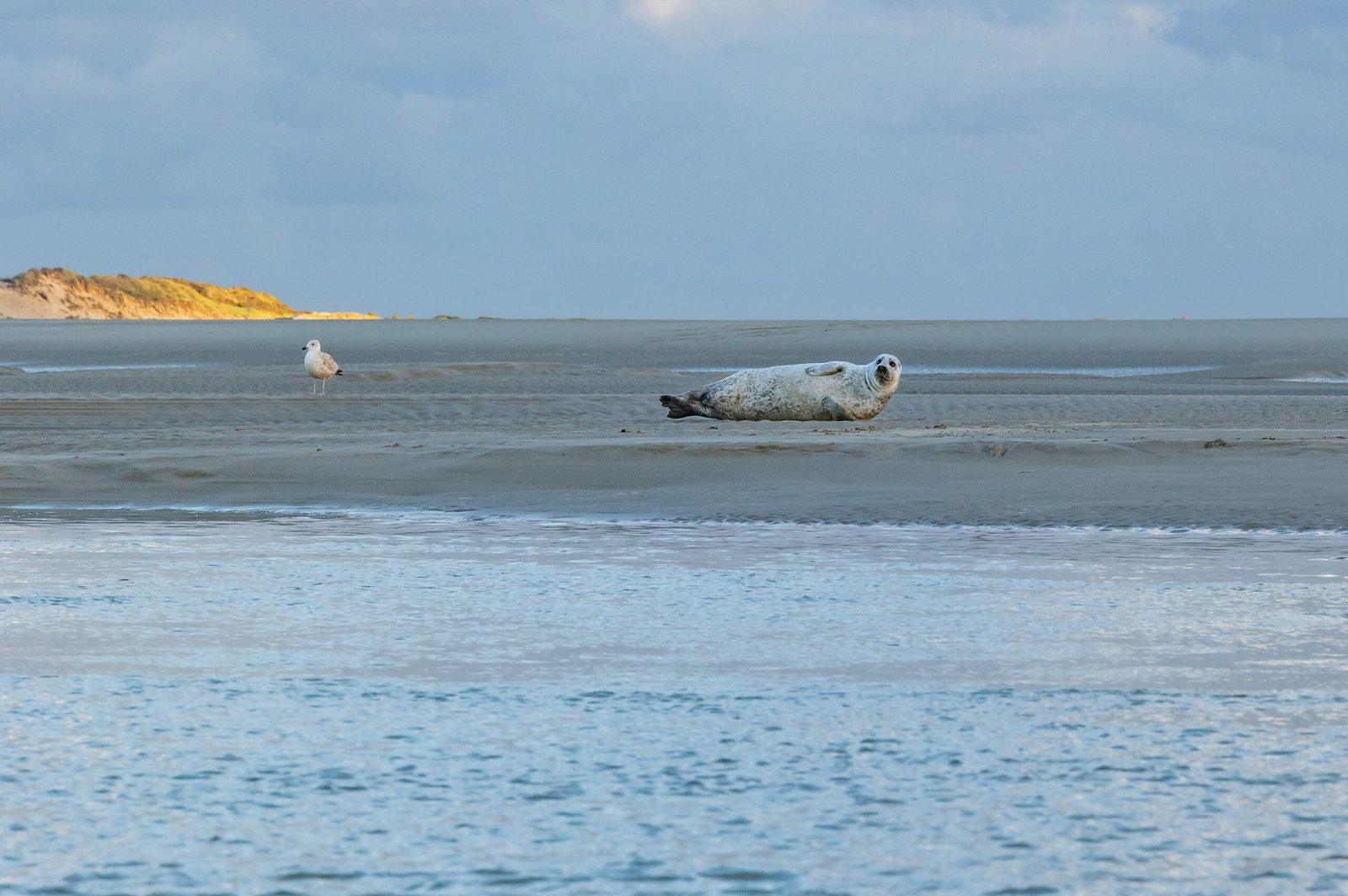 Week-end Famille - Baie de Somme-43 copie